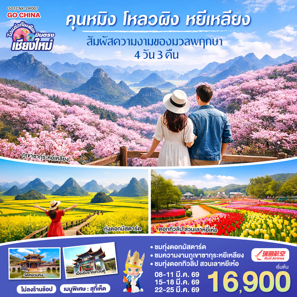 เทือกเขาไก่ทอง|ทุ่งดอกมัสตาร์ด   รถแบตเตอร์รี่|ภูเขาซากุระหยีเหลี่ยง|
|ดอกทิวลิป สวนเลาหยี่เห๋อ|วัดหยวนทง|เมืองโบราณกวนตู้|Pop Mart